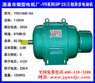 115KW ���� YRϵ��(IP23)�����첽�綯�� YR315M2-6A